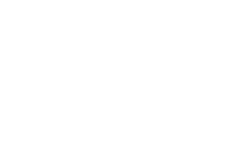 Betel Travel